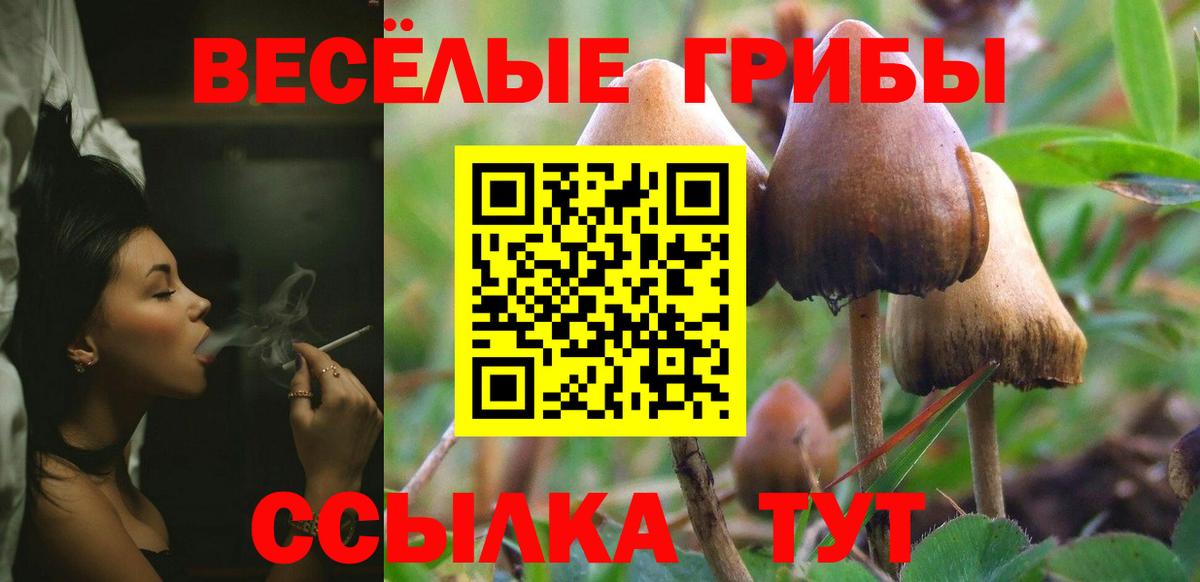 Галлюциногенные грибы мухоморы  Галлюциногенные грибы ЛСД  Вход с VPN  Касимов 